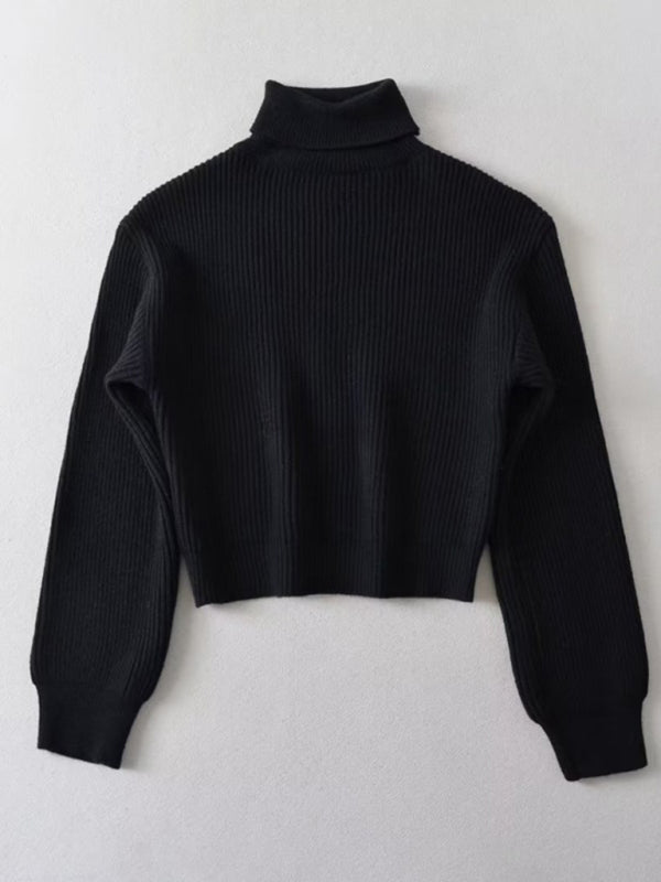 Women's warm short turtleneck top pullover sweater