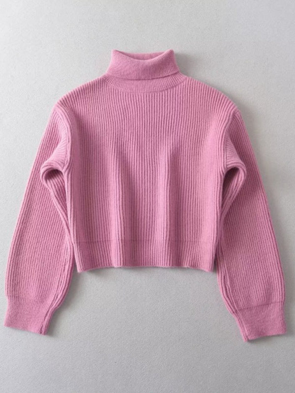 Women's warm short turtleneck top pullover sweater